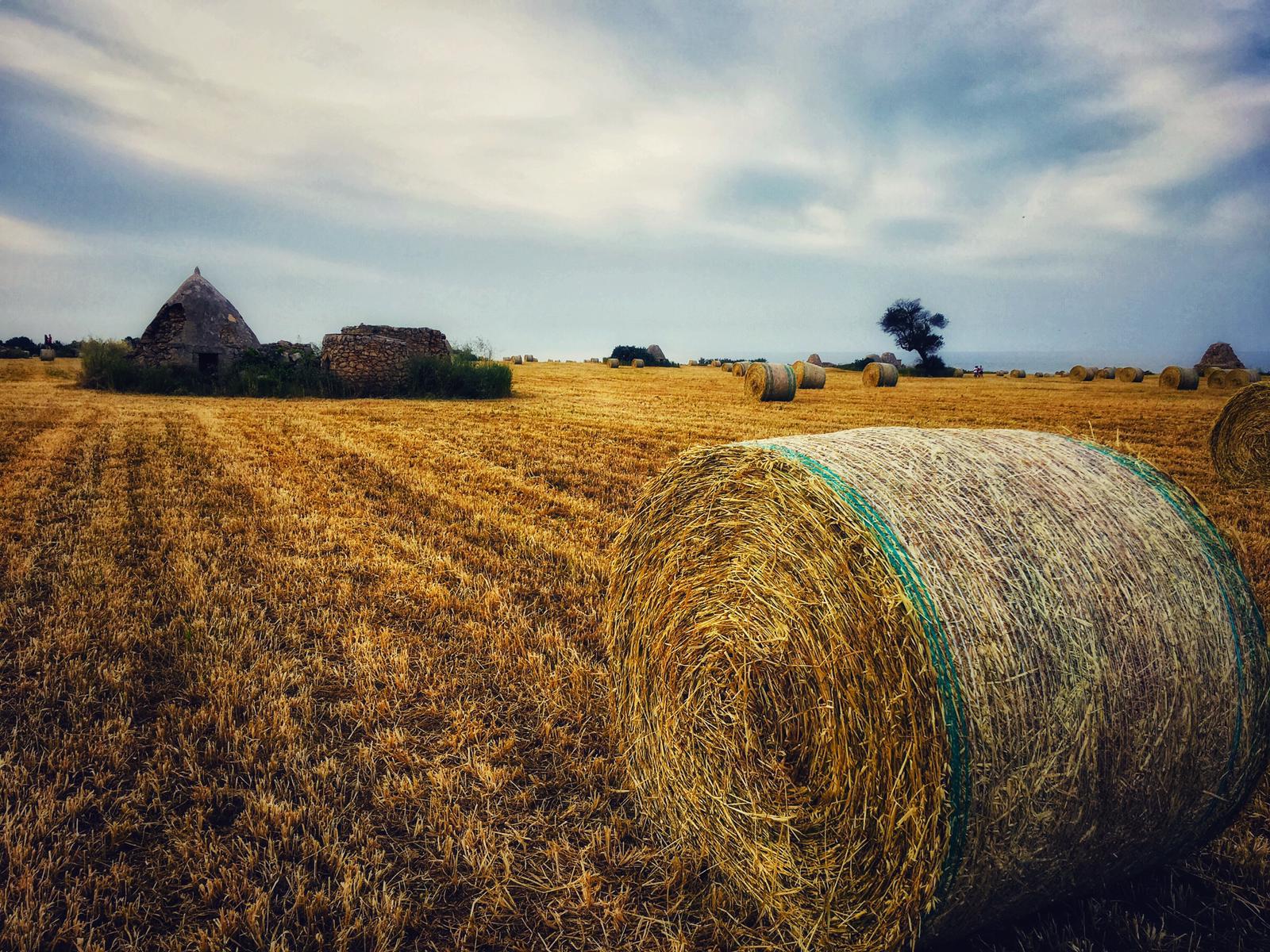 Magna Grecia, Murgia e Gravine